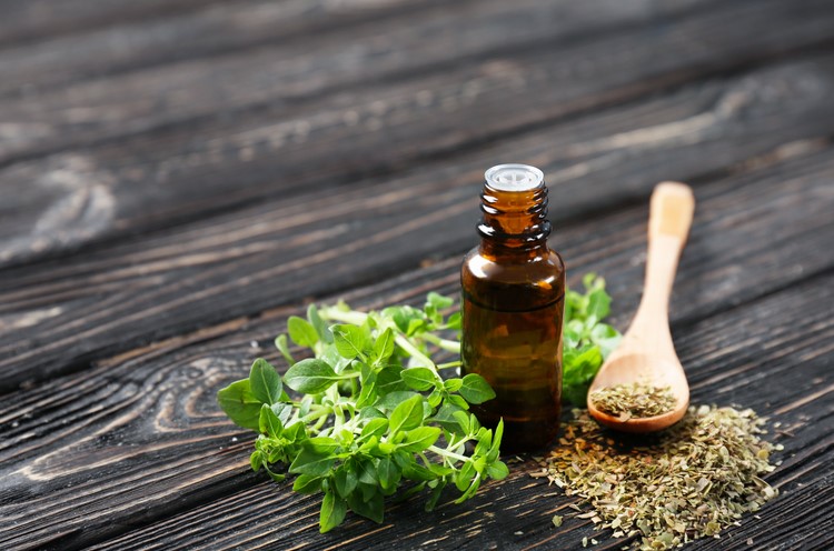 Is oil of oregano an antibiotic?