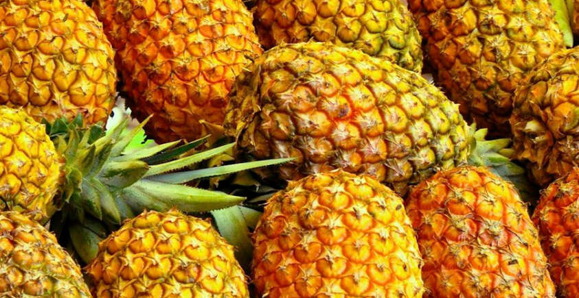 The Health Benefits of Pineapple For Dogs