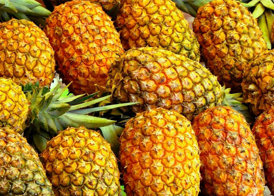 The Health Benefits of Pineapple For Dogs